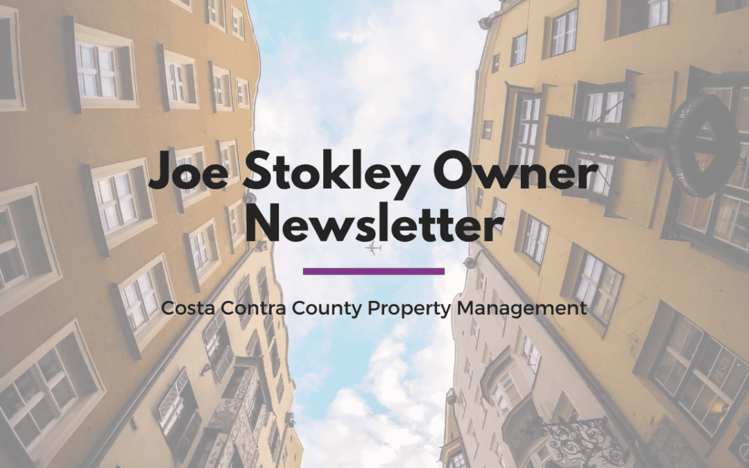 Joe Stokley Owner Newsletter