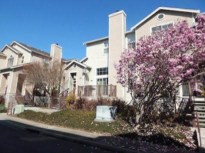 470 East E Street in Benicia